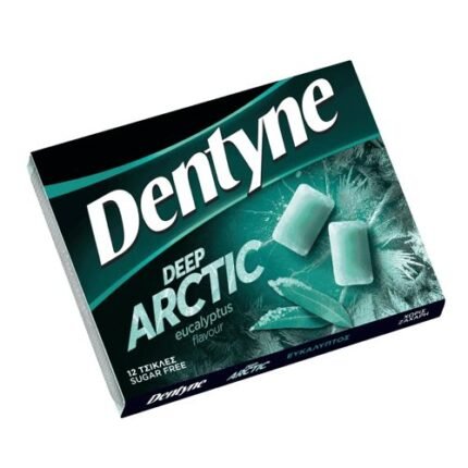 DENTYNE DEEP ARCTIC ΕΥΚΑΛΥΠΤΟΣ 14τεμ.